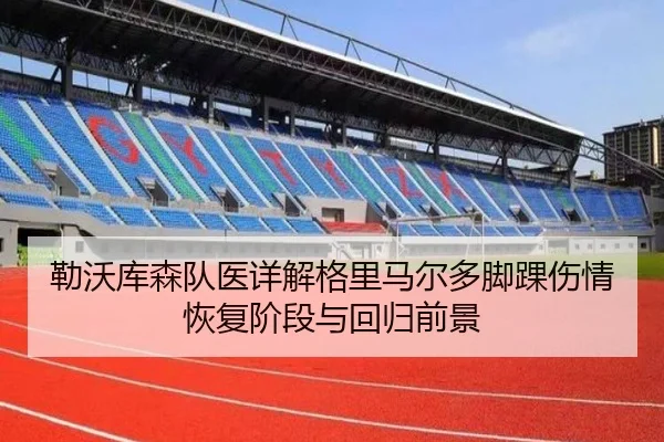 勒沃库森队医详解格里马尔多脚踝伤情恢复阶段与回归前景